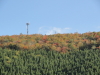 img0027.jpg