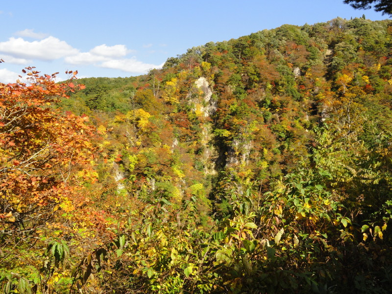 img0015.jpg