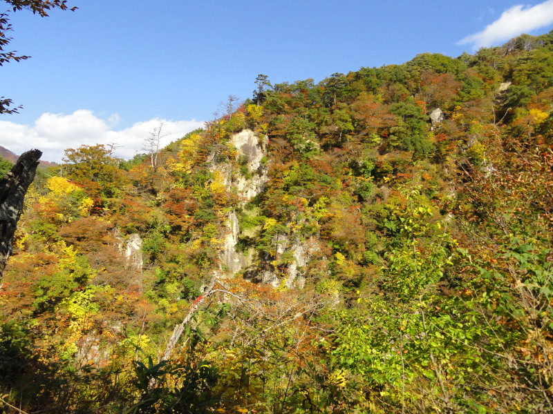 img0033.jpg