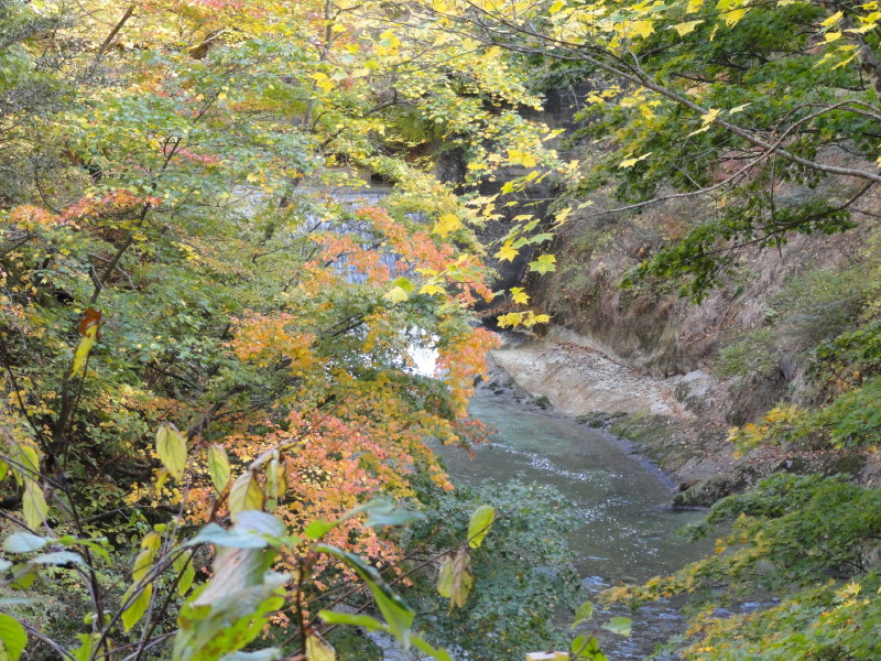 img0058.jpg