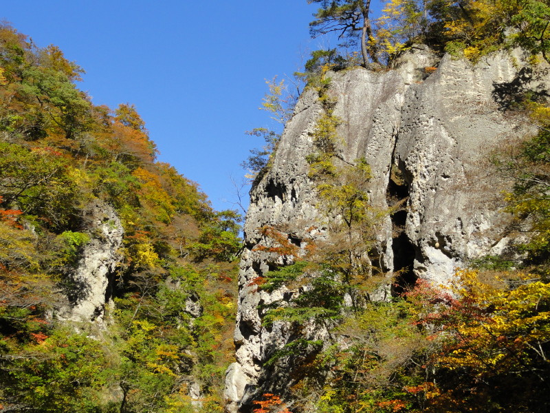 img0060.jpg
