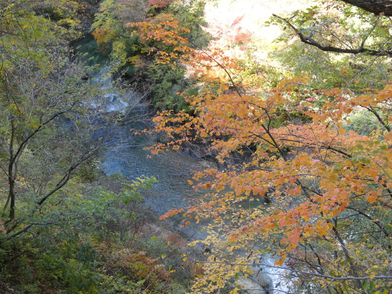 img0079.jpg