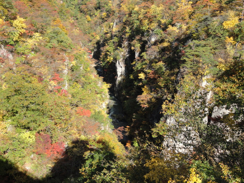 img0083.jpg