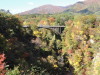 img0019.jpg
