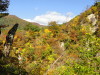img0029.jpg