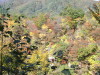 img0031.jpg