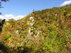 img0033.jpg