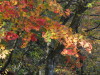 img0037.jpg