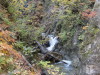 img0063.jpg