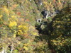 img0086.jpg