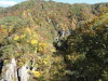 img0087.jpg