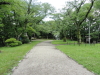 img0010.jpg
