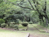 img0023.jpg