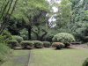 img0027.jpg