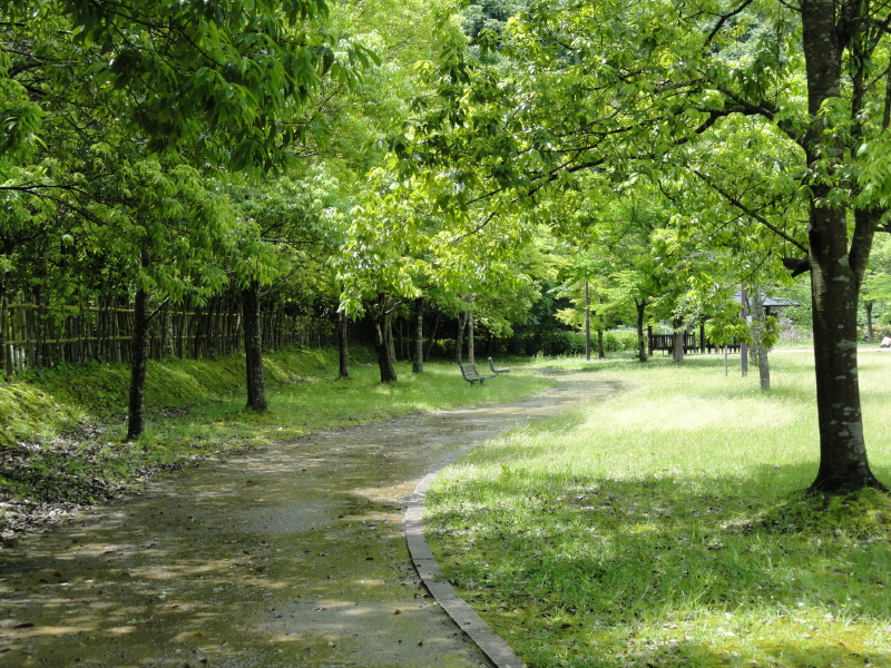 img0006.jpg
