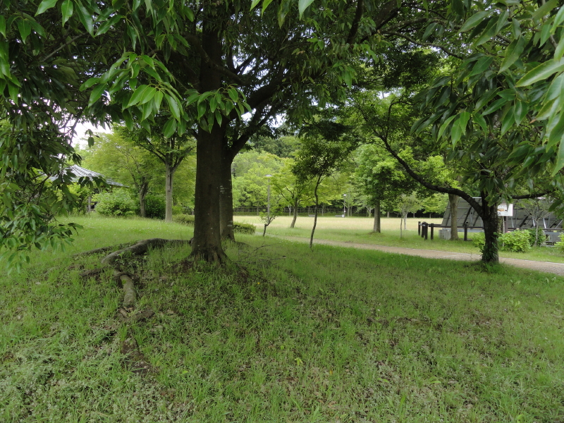 img0007.jpg