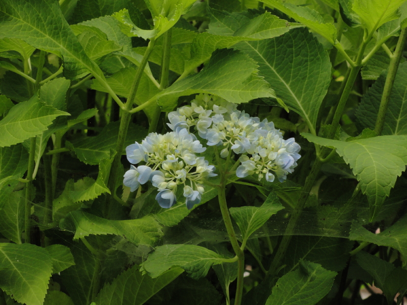 img0016.jpg