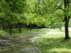 img0006.jpg