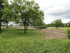 img0015.jpg