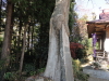 img0014.jpg