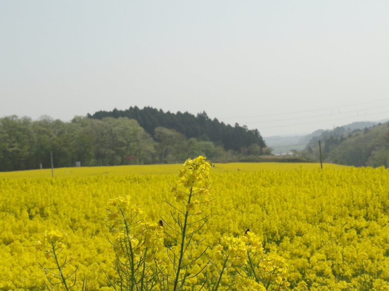img0022.jpg