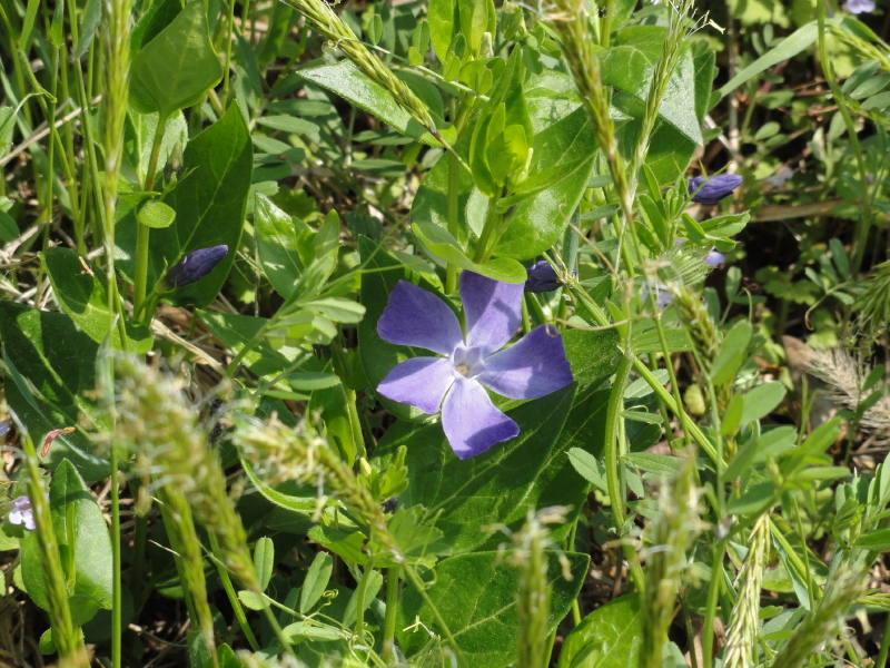 img0037.jpg