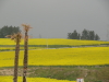 img0000.jpg