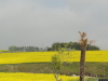 img0001.jpg