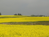 img0002.jpg