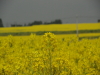 img0005.jpg