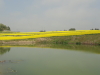 img0008.jpg