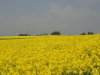 img0013.jpg