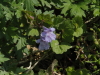 img0021.jpg
