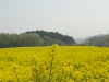 img0022.jpg