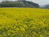 img0023.jpg