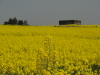 img0025.jpg