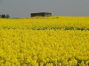 img0026.jpg
