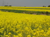 img0028.jpg