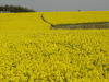 img0031.jpg