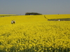 img0032.jpg