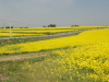 img0033.jpg