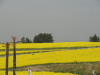 img0039.jpg