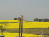 img0040.jpg