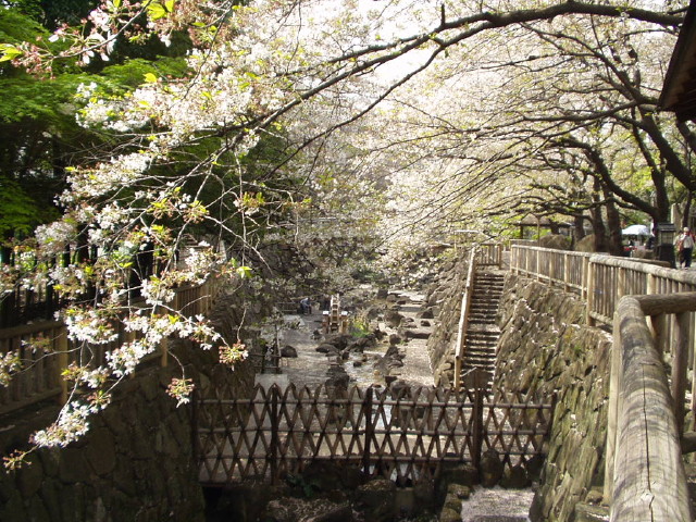 img0004.jpg