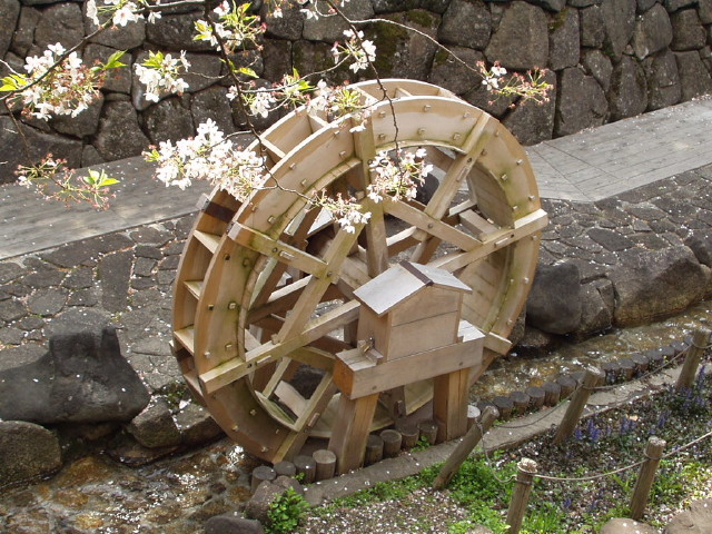 img0005.jpg
