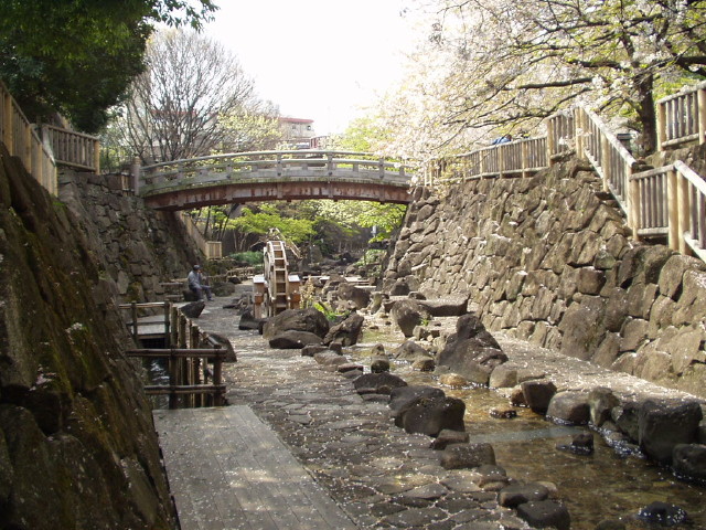img0006.jpg
