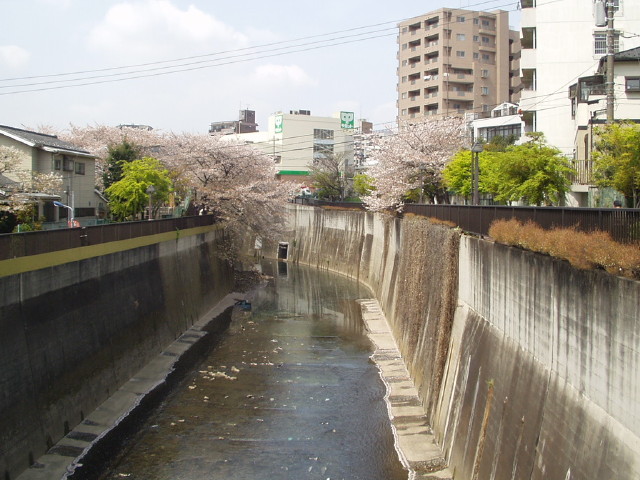 img0013.jpg