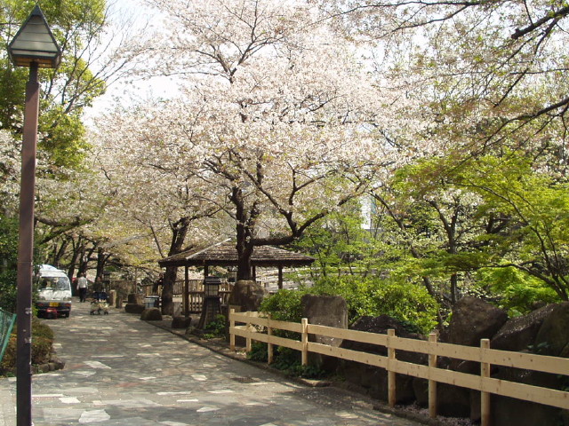 img0021.jpg