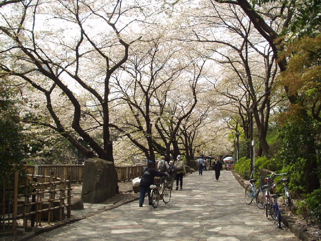 img0022.jpg