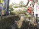 img0002.jpg
